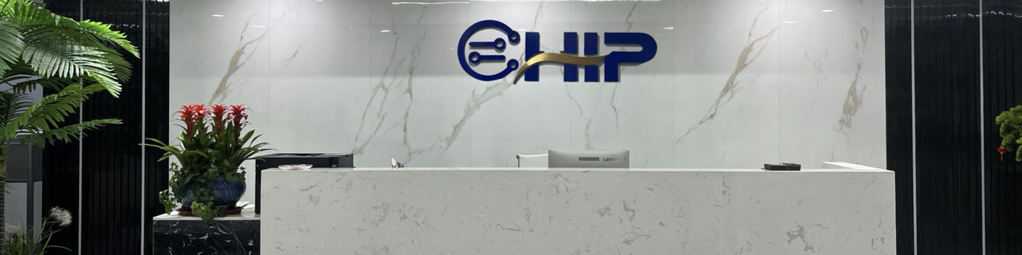 chip- chip limited