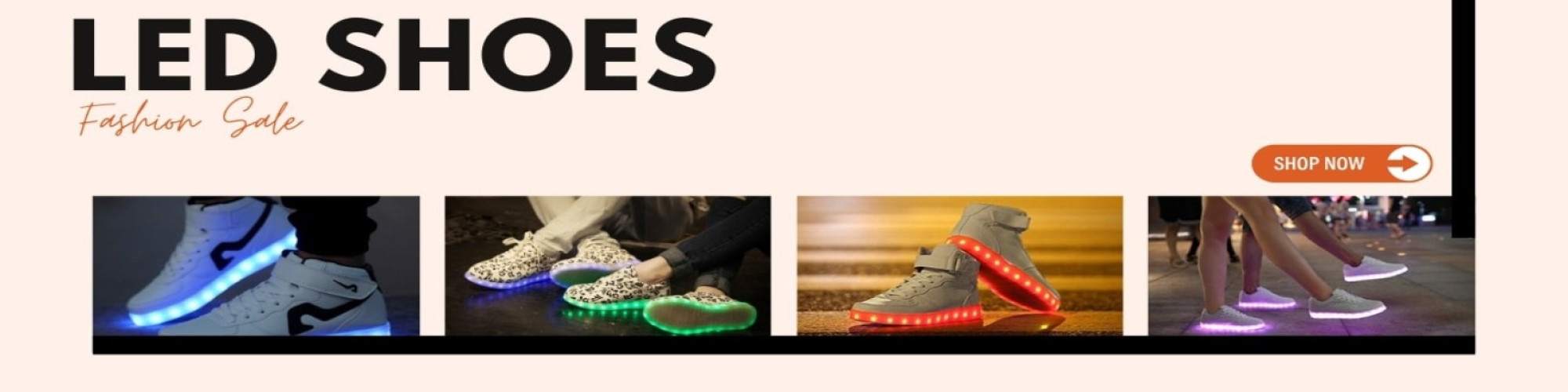 Ledshoe