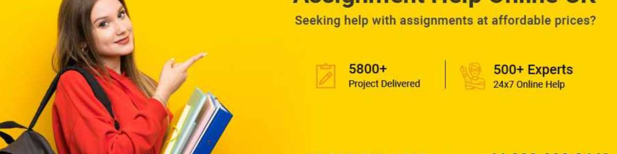 new assignment help uk