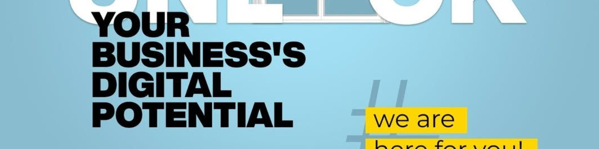 SEO Company in Chandigarh