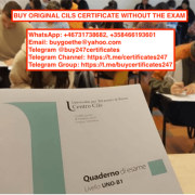 WhatsApp: +46731738682, +358466193601. Buy Italian Language Test, Buy CILS A1, A2, B1, B2, C1, C2 Certificate Without Exam, Buy Original PLIDA Certificate In Rome, How To Get CELI Certificate In Italy, UAE, Buy CILS A1-C2 Certificate Online, Buy PLIDA Certificate Without Exam, Buy Authentic CELI Certificate In Italy, Buy Italian CILS Certificate Without Exam In Rome, Buy a CILS Certificate Without The Exam, Buy Verified CELI Certificate—No Test Required, Buy Italian PLIDA Certificate For Immigration To Italy, UAE, Kuwait, UK