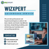How to get support of Smart Accounting for Businesses from Wizxpert