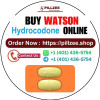 Order Hydrocodone Online Smart Process Hub Balance Field Order Hydrocodone Online Smart Process Hub Balance Field
