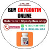 Order Oxycontin Online Robotic Structure Zone Balance Grid