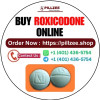 Order Roxicodone Online Performance Enhanced Precision Field
